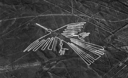 Condor de Nazca