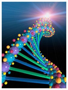 La televisión del&nbsp;monte
