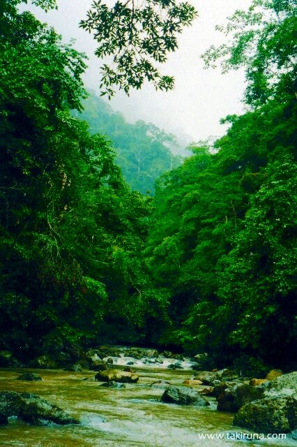 ayahuasca arnaldo quispe