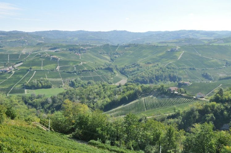 Le langhe