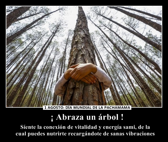 abraza un arbol4