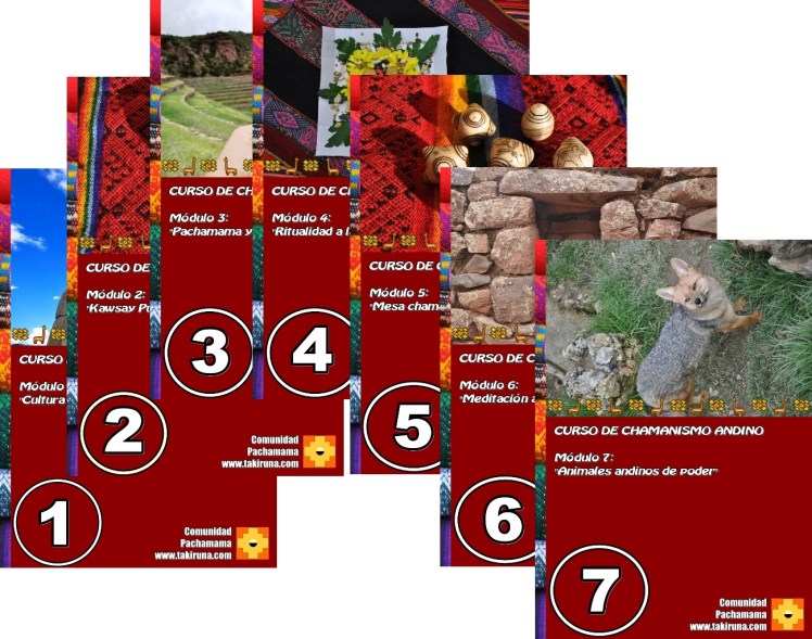 chamanismo andino 9
