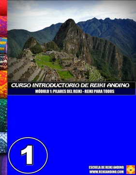 REIKI ANDINO 1B