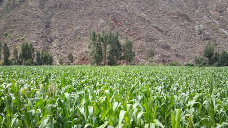 Hatun Karpay Valle Sagrado