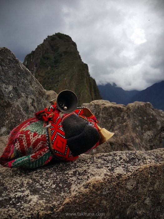 ¿Porqué nuestros retiros NO son&nbsp;masivos?