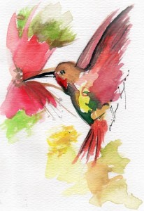 Historia de un&nbsp;colibrí