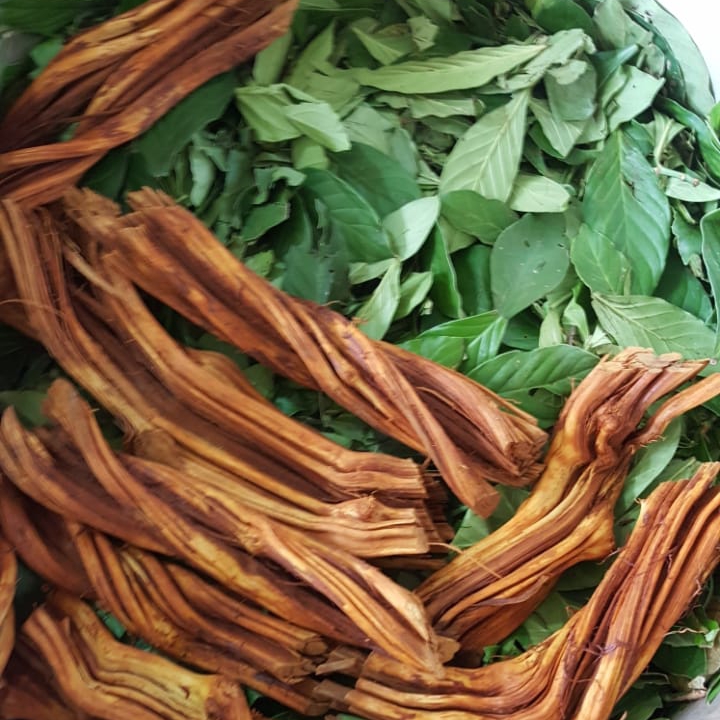 Reflexiones sobre Icaros e&nbsp;Icaroterapia