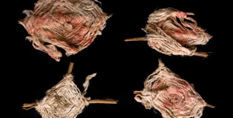 OJOS DE DIOS CARAL 2