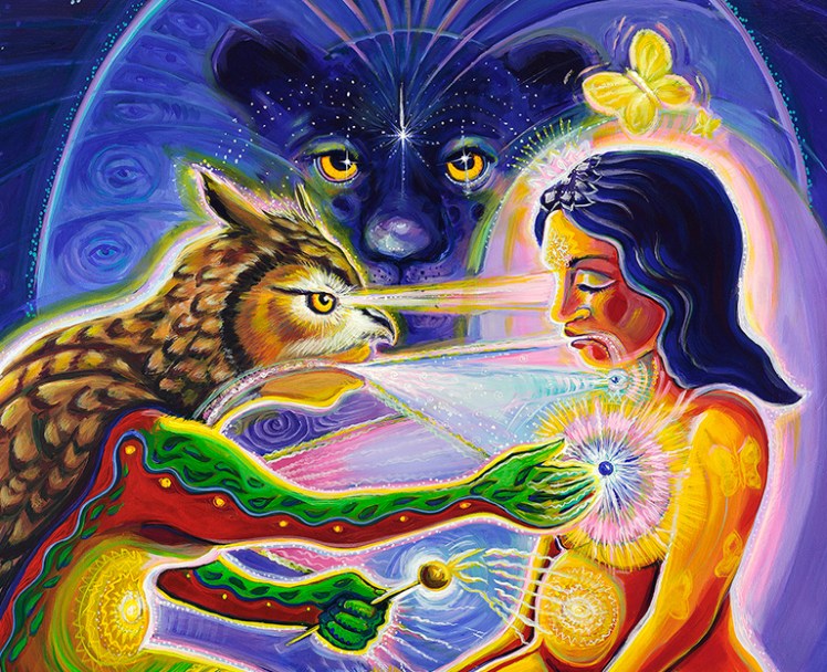 ayahuasca